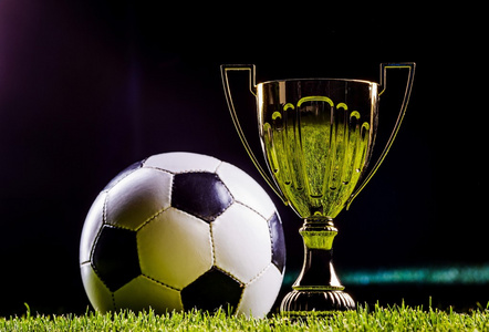 雷亚尔在纸 雷亚尔在纸