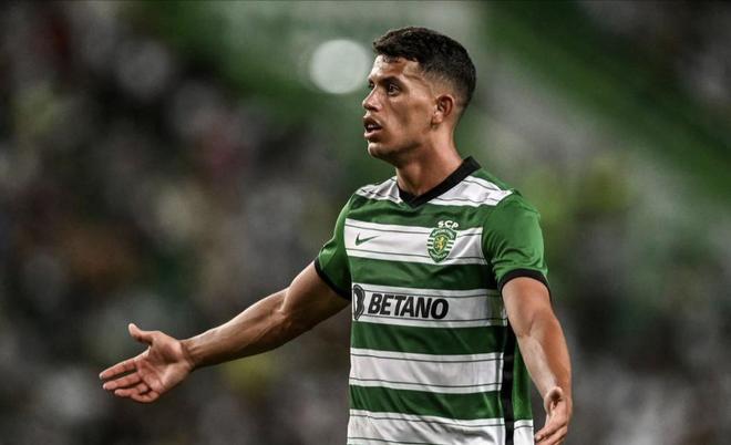 的直接对话 的直接对话