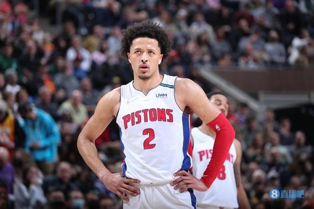 的适应能力 的适应能力