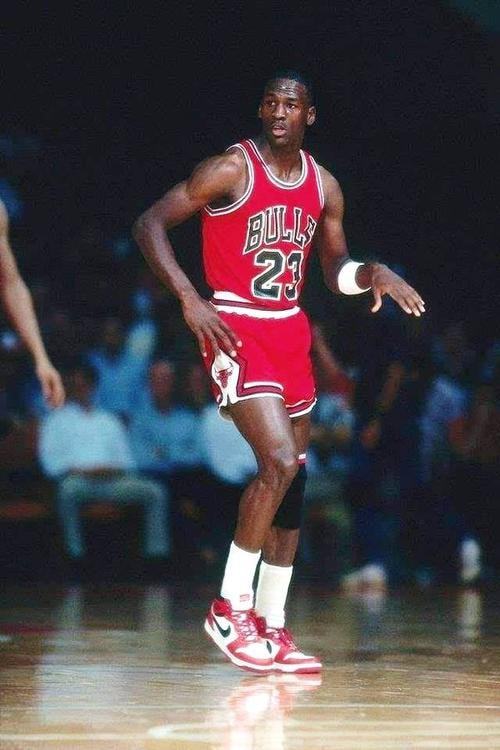 他的经纪团 他的经纪团