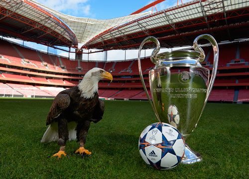 损失上限与 损失上限与